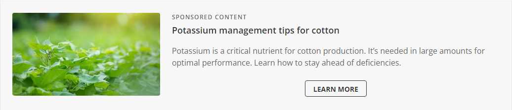 Land O'Lakes campaigns first seen Dec 2024.
