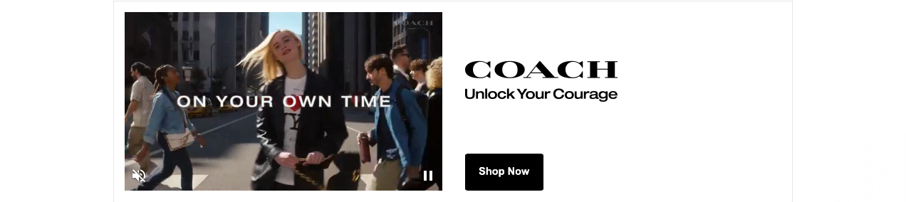 Tapestry campaigns first seen Apr 2025.