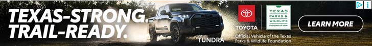 Display