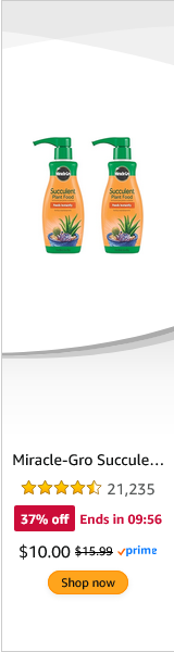 Scotts campaigns first seen Nov 2025.