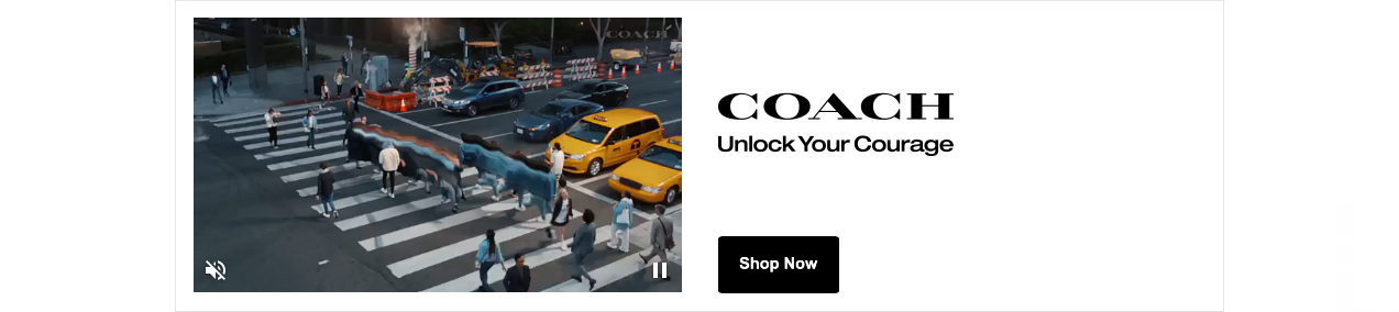 Coach campaigns first seen Apr 2025.