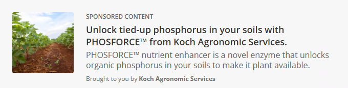 Koch Industries campaigns first seen Mar 2025.