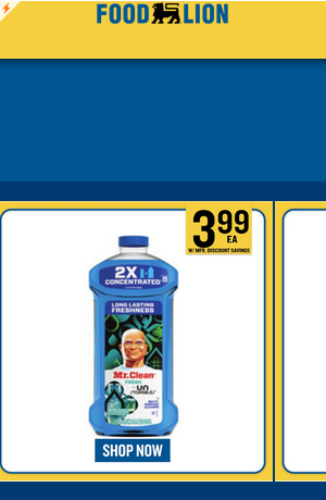Food Lion campaigns first seen Mar 2026.