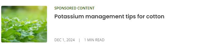 Land O'Lakes campaigns first seen Dec 2024.