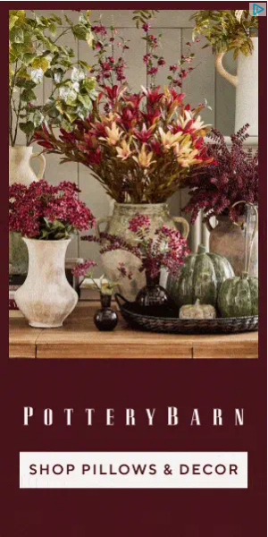 Pottery Barn campaigns first seen Aug 2025.