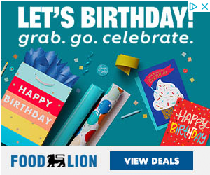 Food Lion campaigns first seen Mar 2025.
