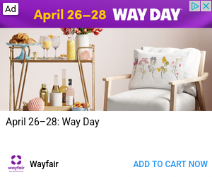 Wayfair campaigns first seen Apr 2025.