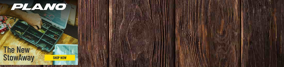 Plano Synergy campaigns first seen Aug 2025.