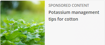 Land O'Lakes campaigns first seen Dec 2024.