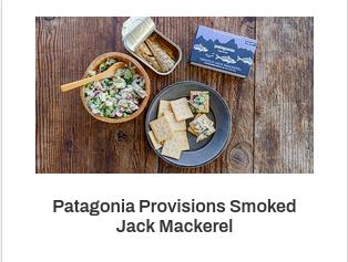 Patagonia campaigns first seen Mar 2026.