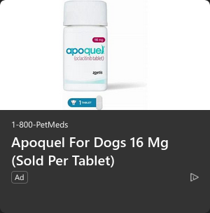 PetMed Express campaigns first seen May 2025.