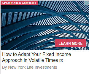 New York Life Investment Management campaigns first seen Jul 2025.