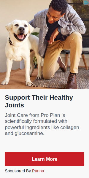 Purina Pro Plan Dog Food campaigns first seen May 2025.