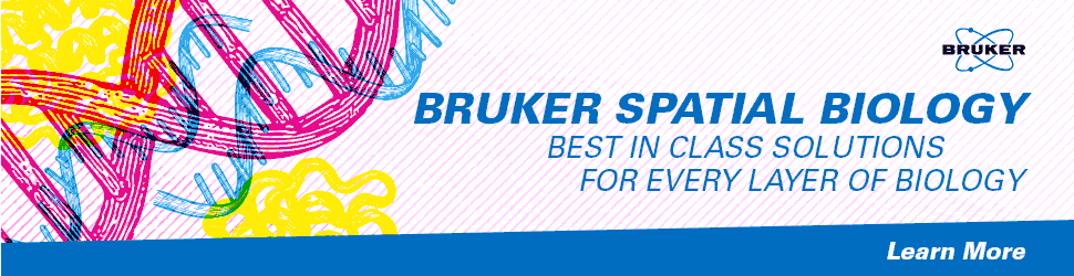 Bruker campaigns first seen Feb 2026.