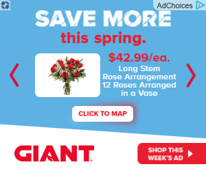 Koninklijke Ahold Delhaize N.V. campaigns first seen May 2025.