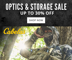 Cabela's campaigns first seen Jan 2025.