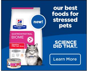 Hill's Pet Nutrition campaigns first seen Dec 2024.