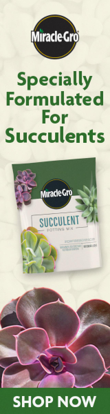 Scotts campaigns first seen Nov 2025.