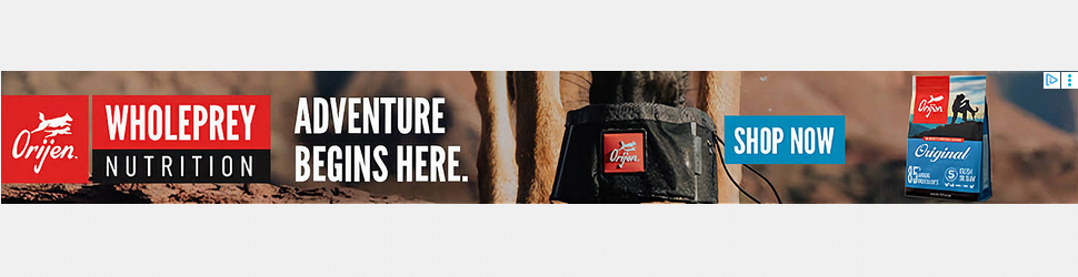 Champion Petfoods campaigns first seen Aug 2025.