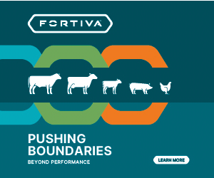 Thoma Bravo campaigns first seen Dec 2024.