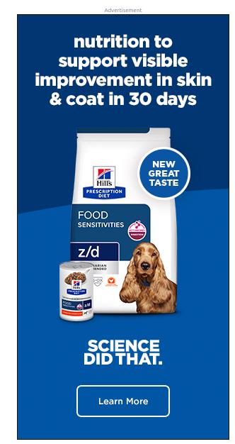 Hill's Pet Nutrition campaigns first seen Sep 2025.