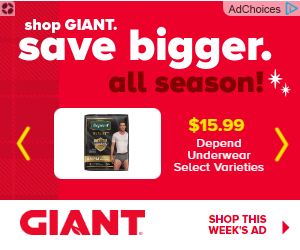 Ahold Delhaize campaigns first seen Nov 2025.