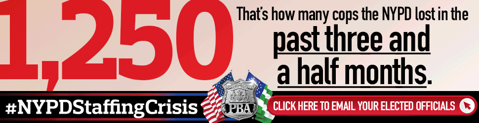 Daily News, L.P. campaigns first seen Mar 2025.