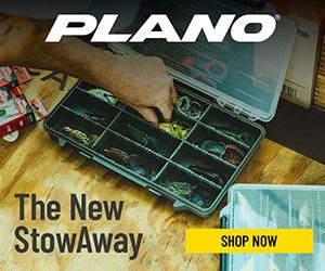 Plano Synergy campaigns first seen Aug 2025.