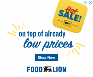 Food Lion campaigns first seen May 2025.