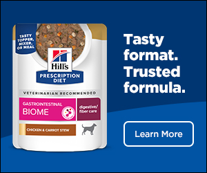 Hill's Prescription Diet for Dog Food campaigns first seen Jun 2025.