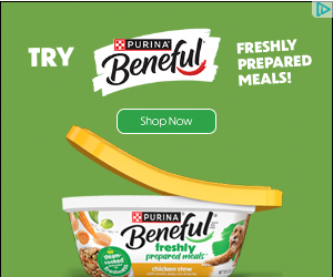 Purina Dogs campaigns first seen Oct 2025.