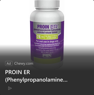 Chewy campaigns first seen Feb 2025.