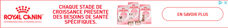 Royal Canin campaigns first seen Jan 2025.