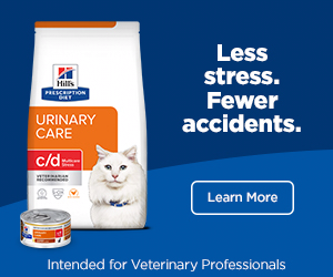 Hill's Pet Nutrition campaigns first seen Nov 2025.