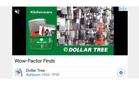 Dollar Tree Stores campaigns first seen Jan 2025.