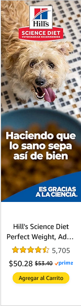 Colgate-Palmolive campaigns first seen Aug 2025.