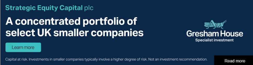 Searchlight Capital Partners campaigns first seen Nov 2024.