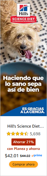 Hill's Pet Nutrition campaigns first seen Aug 2025.