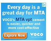 VOCO campaigns first seen Feb 2026.