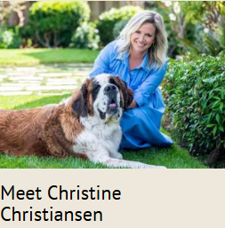 Engel & Volkers campaigns first seen Jul 2025.