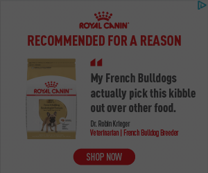 Royal Canin Dog Food campaigns first seen Apr 2025.