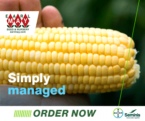 Monsanto campaigns first seen Feb 2025.