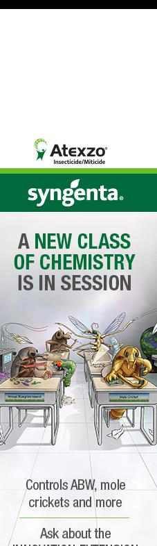 Syngenta GreenCast campaigns first seen Feb 2026.