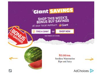 Ahold Delhaize campaigns first seen Jun 2025.