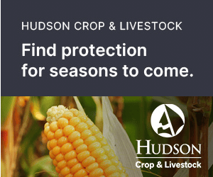 Fairfax Financial Holdings Limited campaigns first seen Jan 2026.