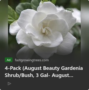 Berkshire Partners campaigns first seen Feb 2025.