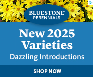 Bluestone Perennials campaigns first seen Dec 2024.