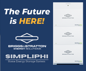 Briggs & Stratton campaigns first seen Dec 2024.