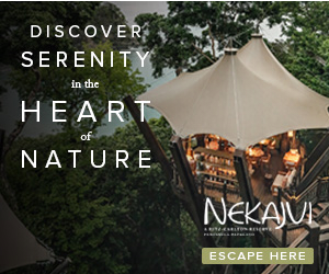 Ritz-Carlton Hotel campaigns first seen Dec 2025.