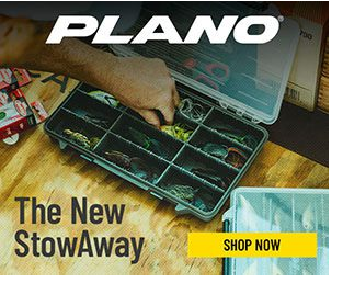 Plano Synergy campaigns first seen Aug 2025.